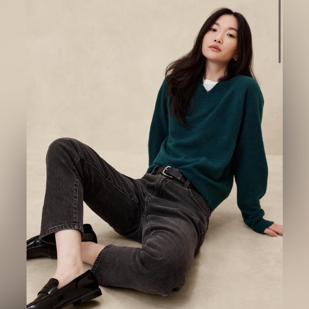 Cozy V-neck sweater- Banana Republic